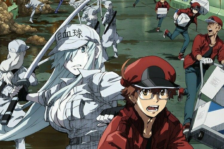 Yang Terjadi Pada Tubuh Tidak Sehat, Hataraku Saibou! Black