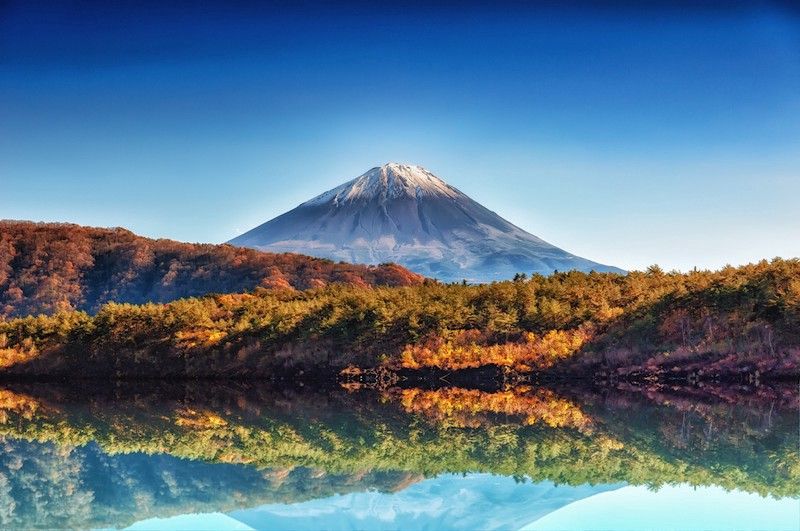 Misteri Aokigahara, Salah Satu Hutan “Spesial” di Jepang