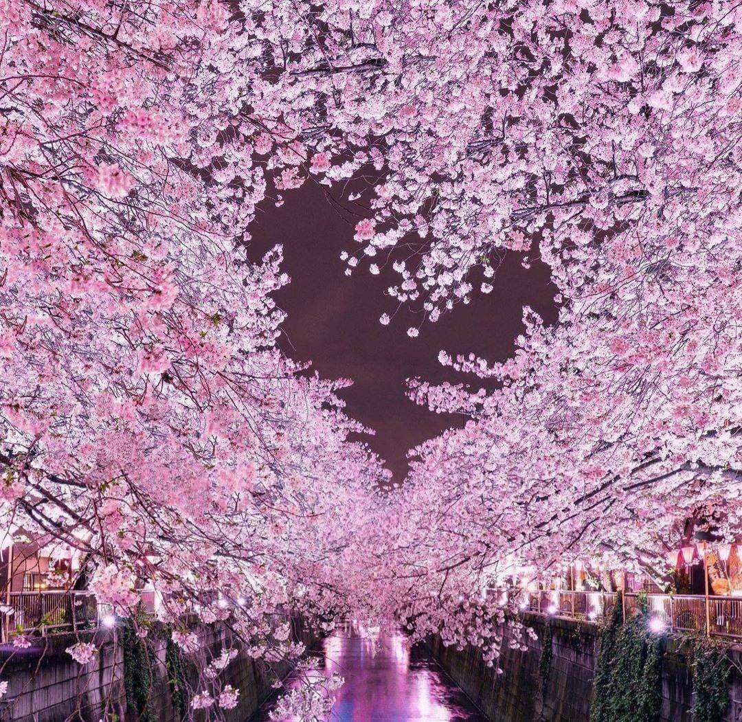 Ciee Ciee, 3 Hal Ini Bermakna Romantis Lho di Jepang!