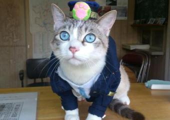 Ciyuss ?Kucing Polisi?