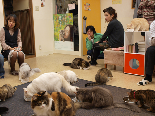 Cafe "Imut" di Jepang