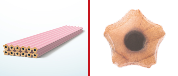 Kejutan Spesial Saat Meruncing Pensil Sakura